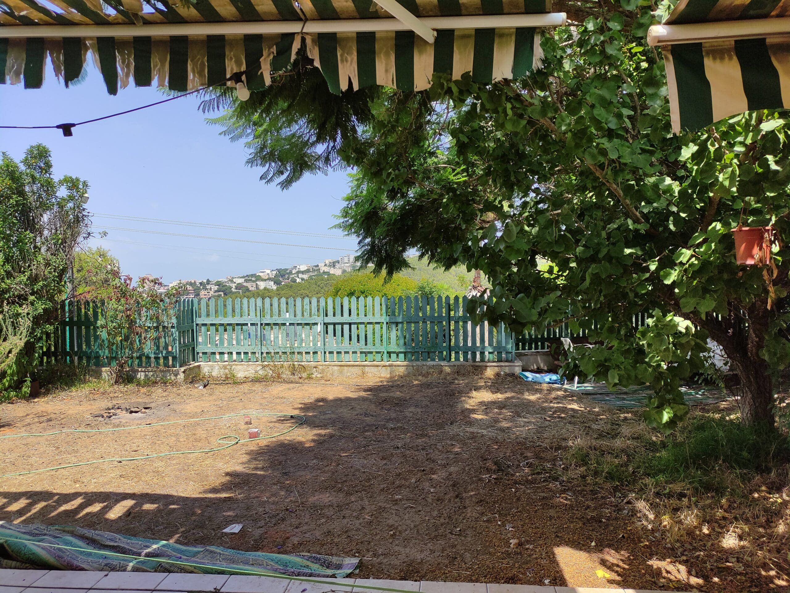 נוף מהחצר הקדמית בדניה